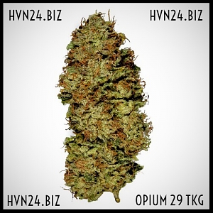 Opium шишка фото для сайта